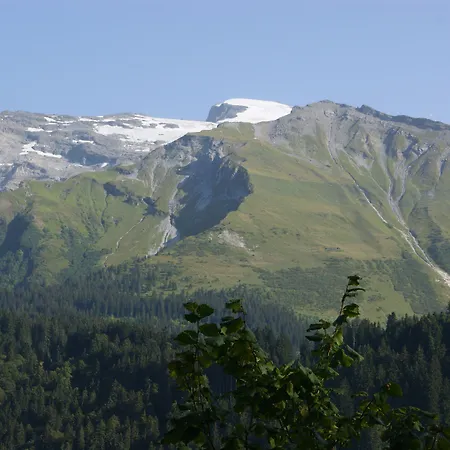 Hotel Schweizerhof Engelberg