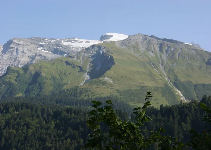 Hotel Schweizerhof Engelberg
