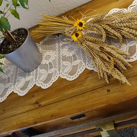 Schweizerhof מלון 3*