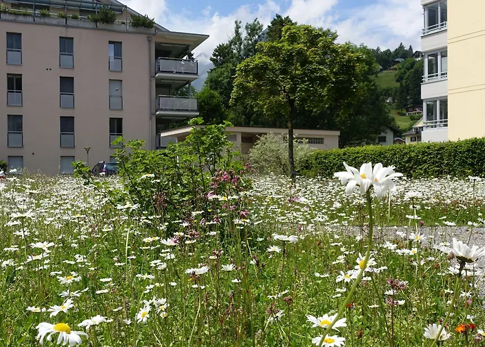 Schweizerhof Hotel 3*